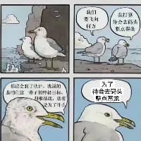 提刀少年斩恶龙的头像 - 去码头整点恶龙专栏作者